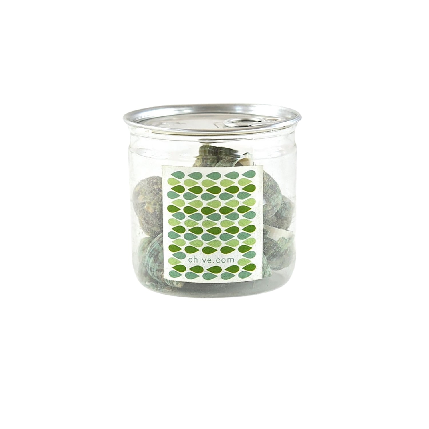 Mermaids & Pirates of the Sea Complete Kit shells