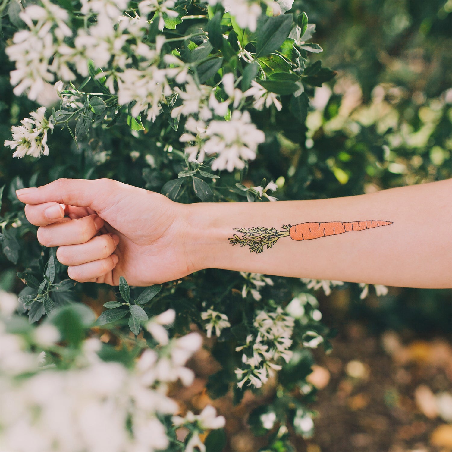 Carrot Tattoo - Set of 2. Yozo Studio